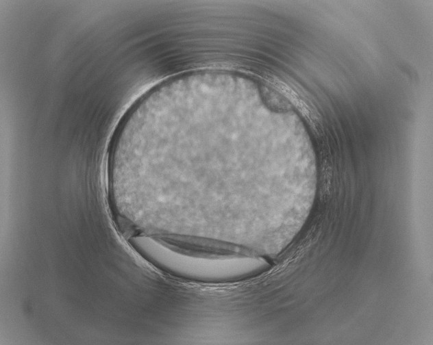 X0000115451084200912161509