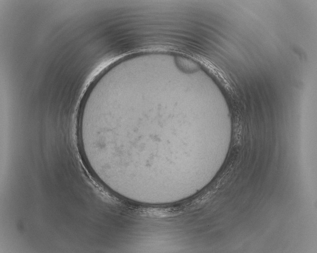 X0000115451086200912161509