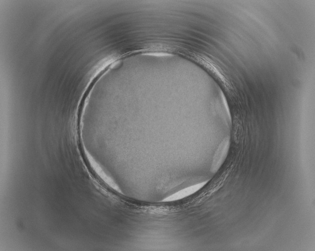 X0000115451087200912161509