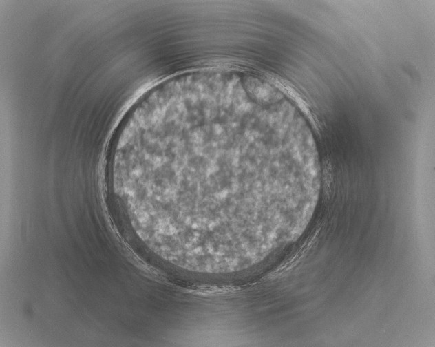 X0000115451091200912161509