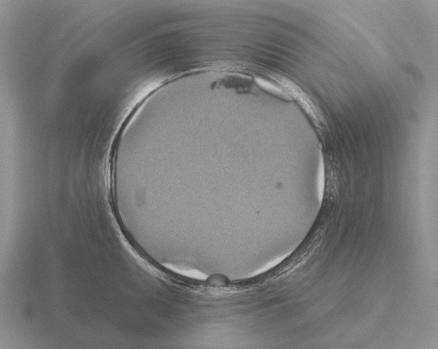 X0000115451095200912161509