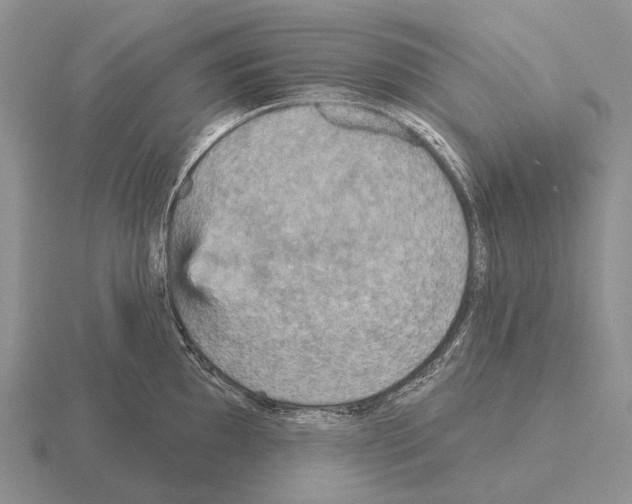 X0000115451097200912161509