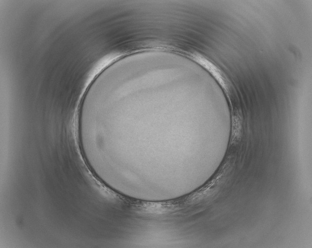 X0000115451098200912161509