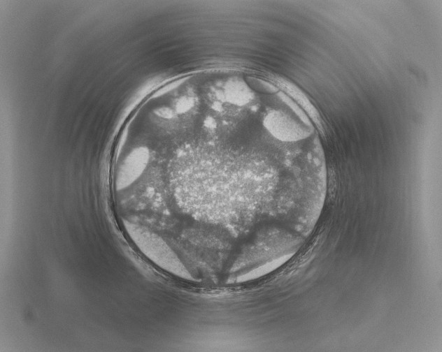 X0000115451099200912161509