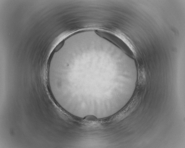 X0000115451101200912161509