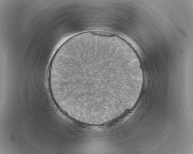 X0000115451102200912161509