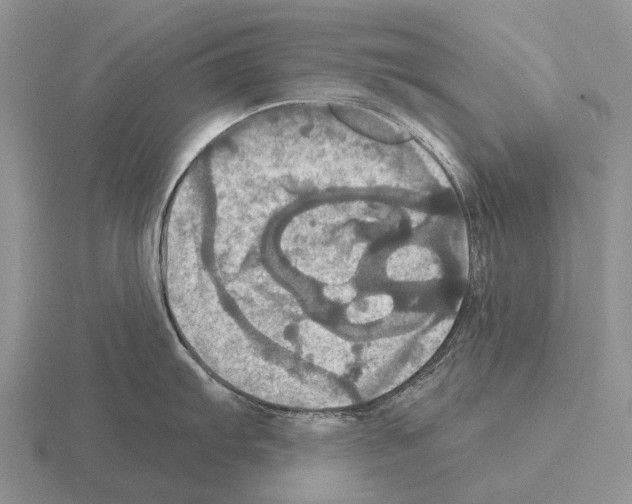 X0000115451103200912161509