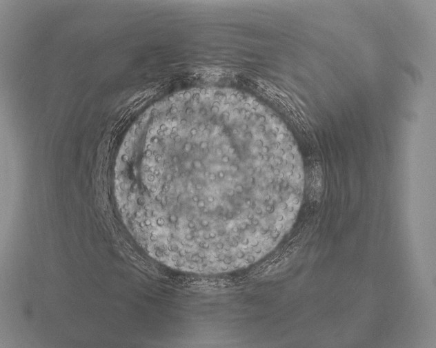 X0000115451105200912161508