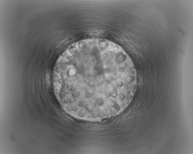 X0000115451106200912161508