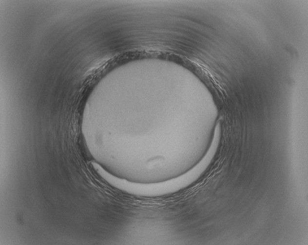 X0000115451110200912161508