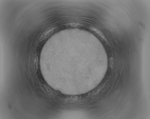 X0000115451111200912161508