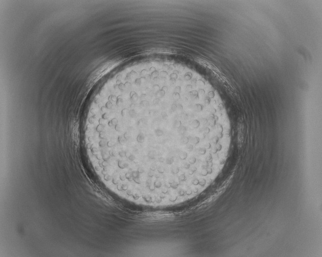 X0000115451113200912161509