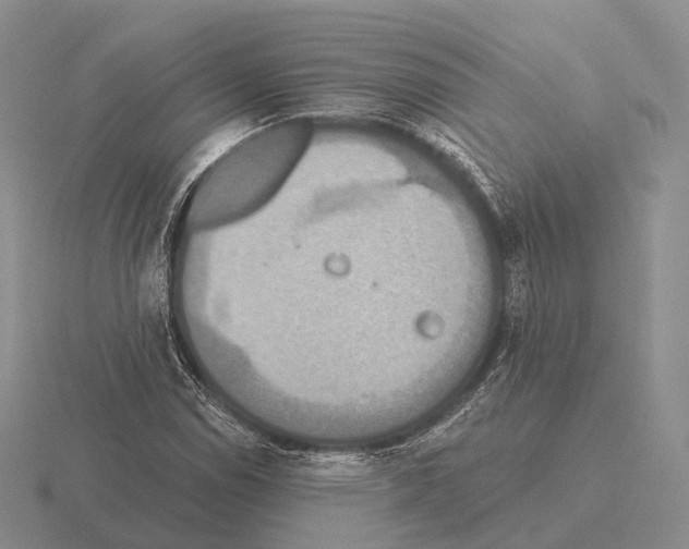 X0000115451114200912161509