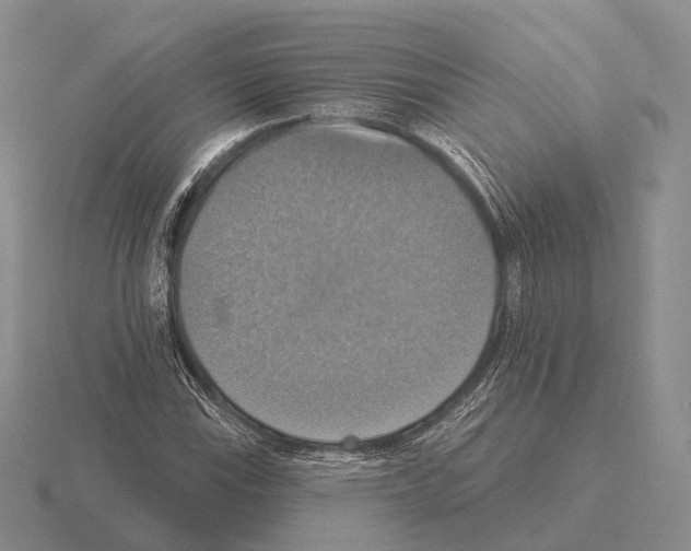 X0000115451115200912161509