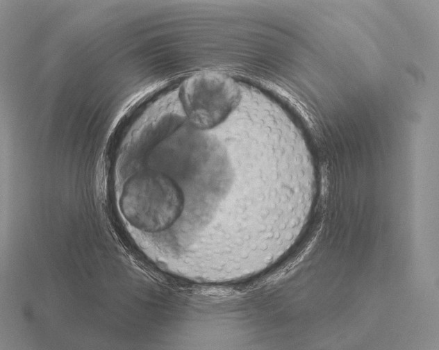 X0000115451117200912161509