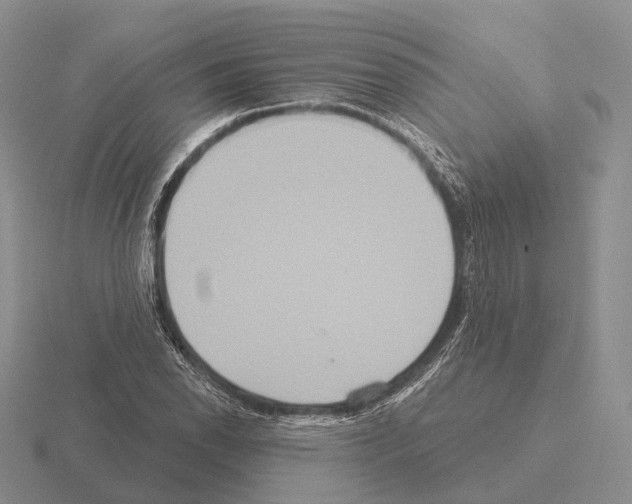 X0000115451118200912161509