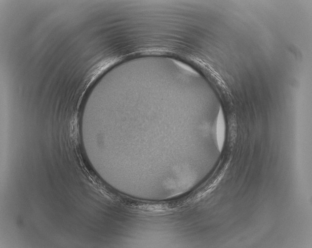 X0000115451121200912161509