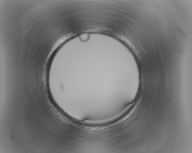 X0000115451122200912161509