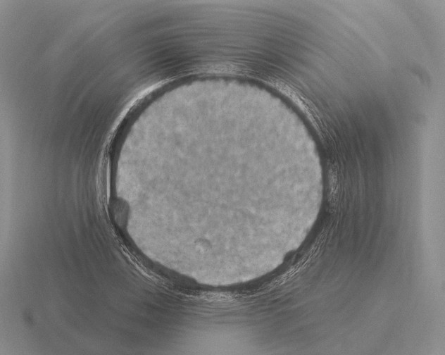 X0000115451123200912161509