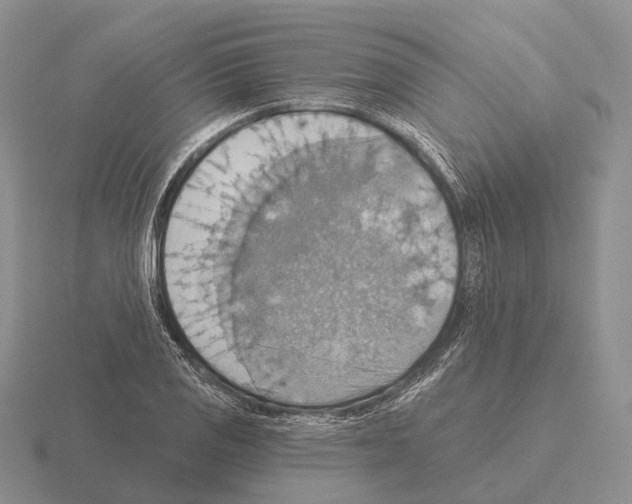 X0000115451125200912161509