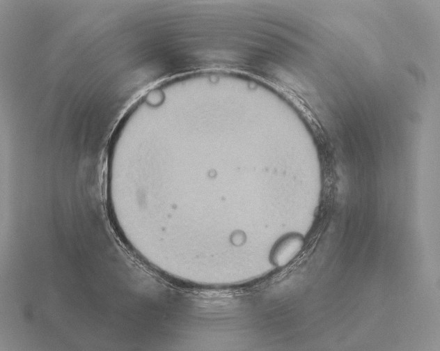 X0000115451126200912161509