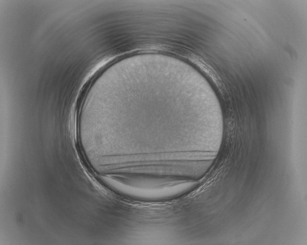 X0000115451127200912161509