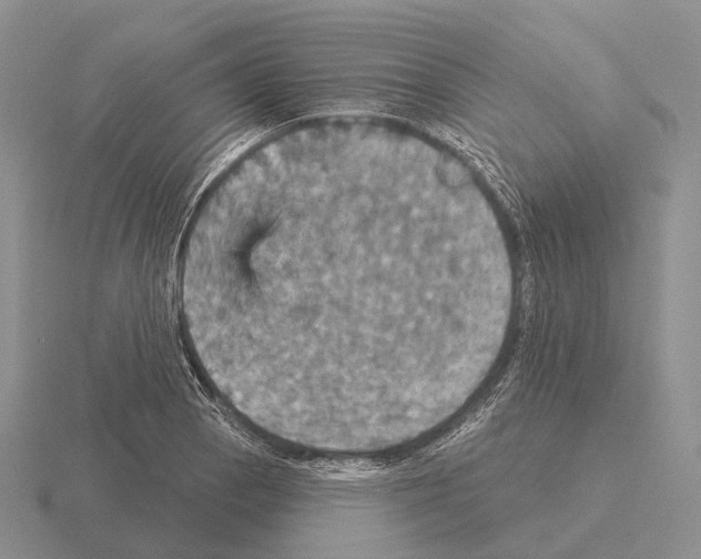 X0000115451129200912161509