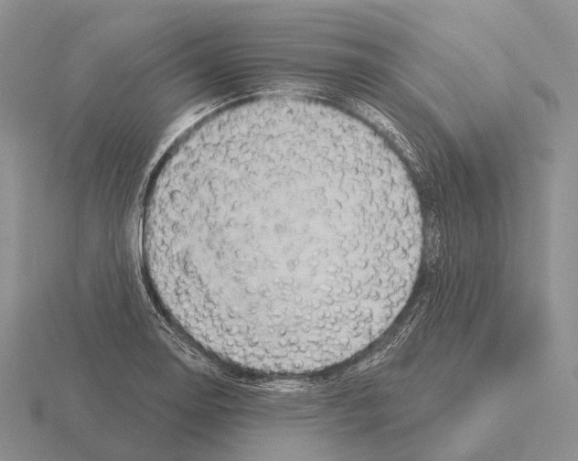 X0000115451130200912161509