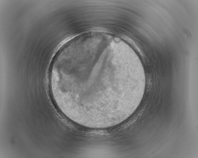 X0000115451133200912161509