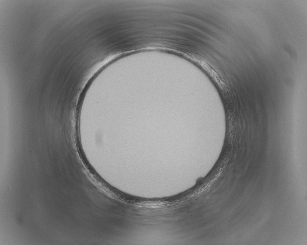 X0000115451134200912161509