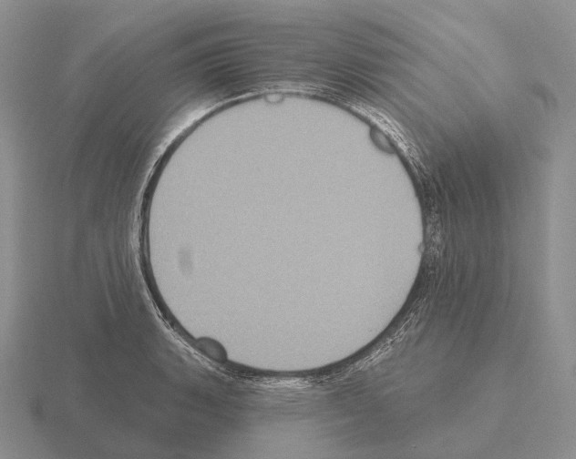 X0000115451135200912161509