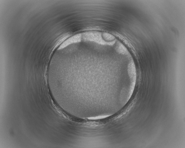 X0000115451137200912161509