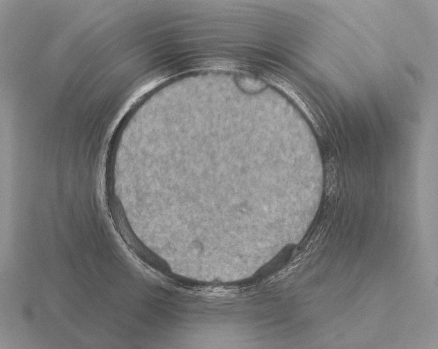 X0000115451139200912161509