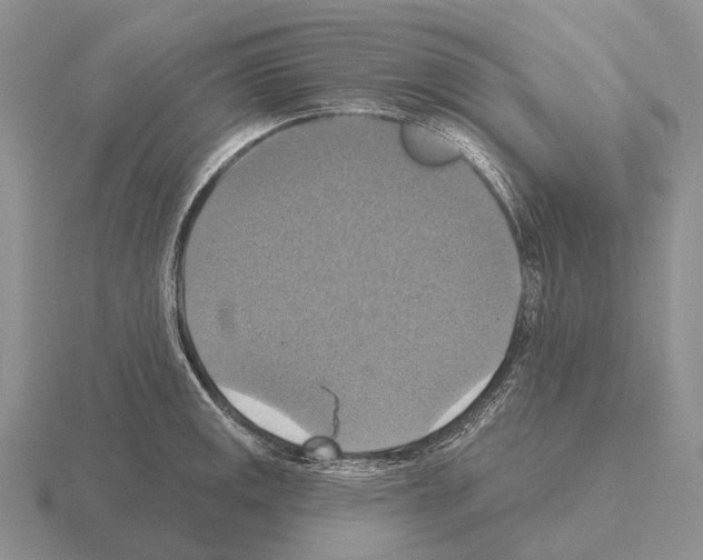 X0000115451141200912161509