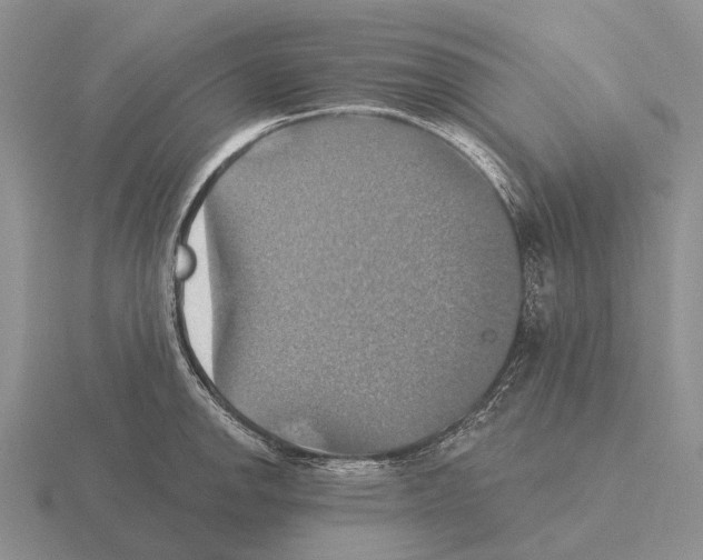 X0000115451142200912161509