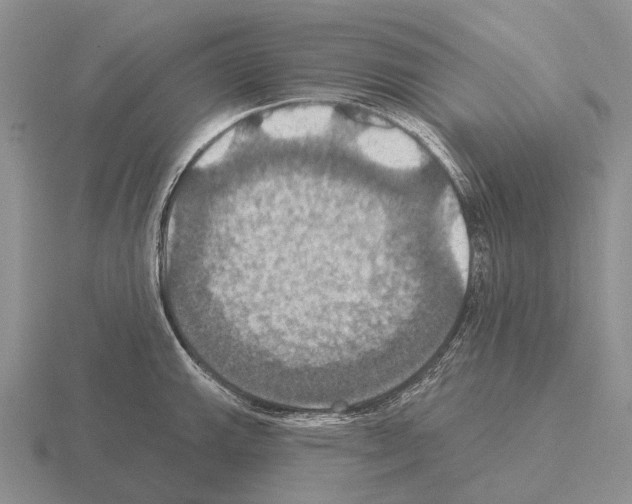 X0000115451143200912161509