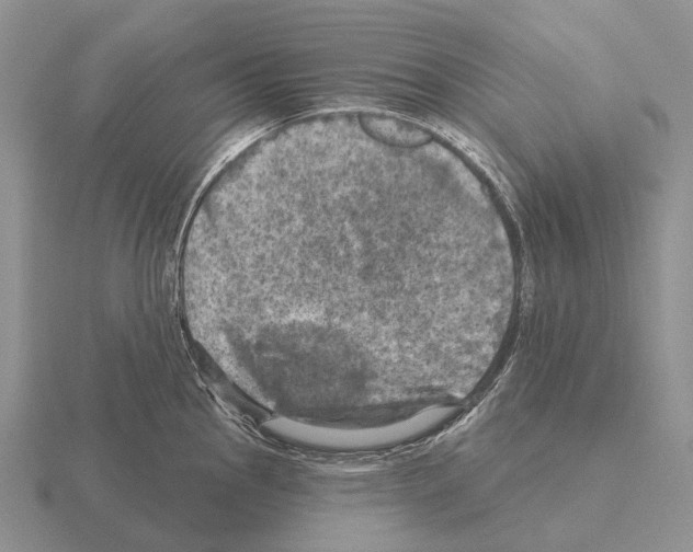 X0000115451145200912161509