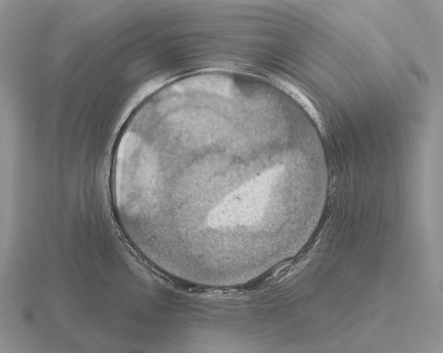 X0000115451146200912161509