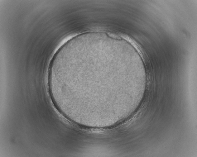 X0000115451147200912161509