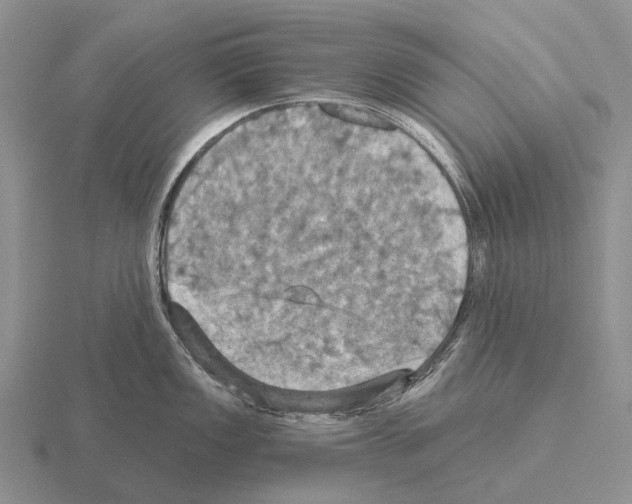 X0000115451149200912161509