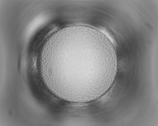 X0000115451150200912161509