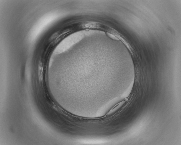 X0000115451151200912161509