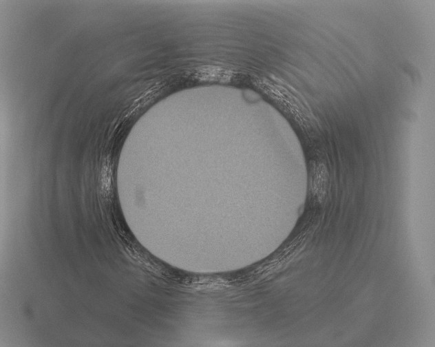 X0000115451154200912161508