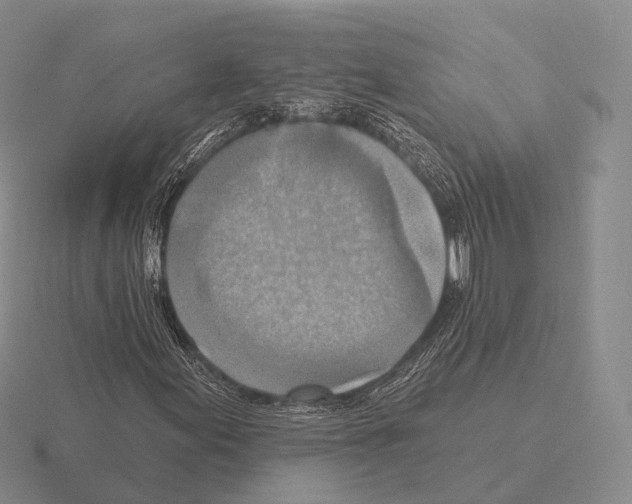 X0000115451155200912161508