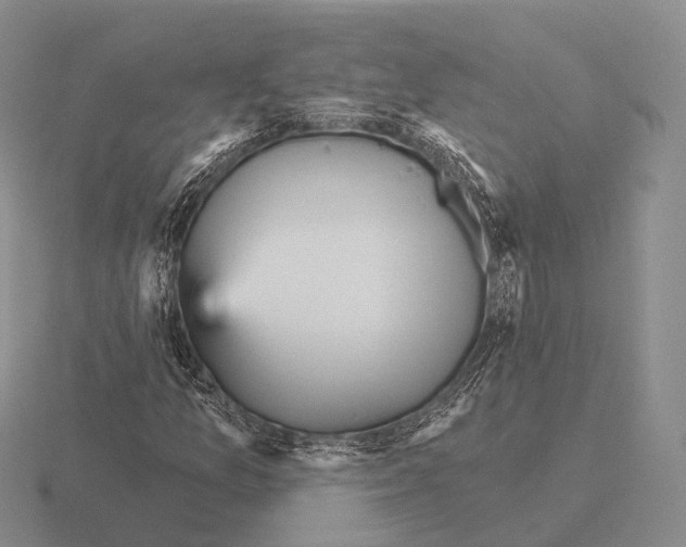 X0000115451157200912161508