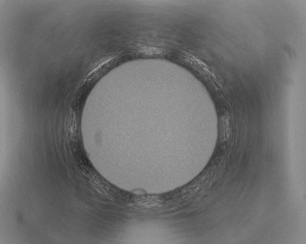 X0000115451158200912161508