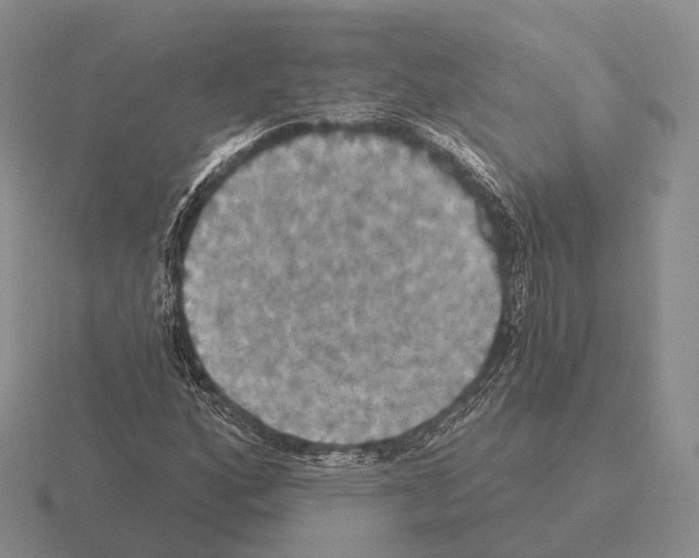 X0000115451160200912161508