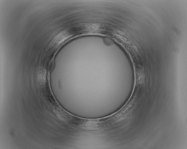 X0000115451161200912161508