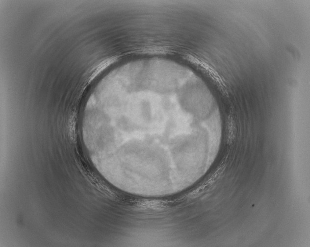 X0000115451162200912161508