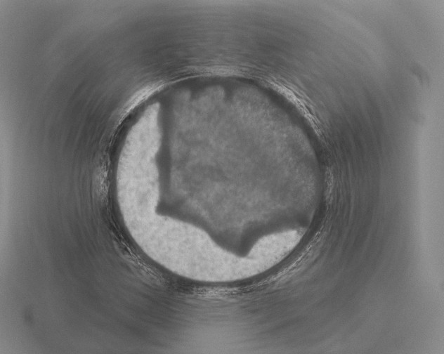 X0000115451163200912161508